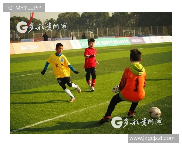 杨丽的足球人生探索与深度对话：从梦想起航到职业巅峰的心路历程